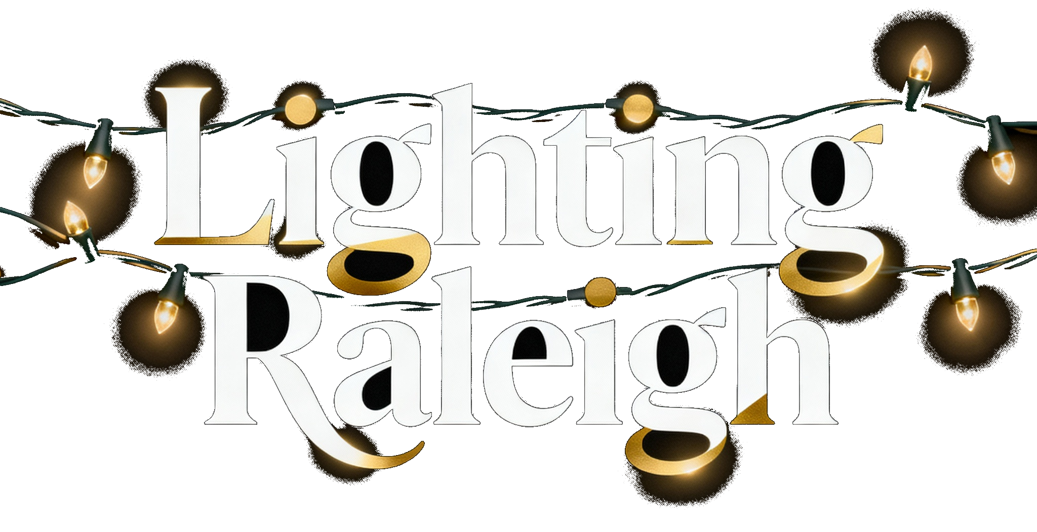 Raleigh Lighting Professionals